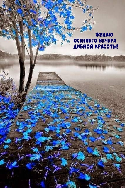 Желаю осеннего вечера дивной красоты!