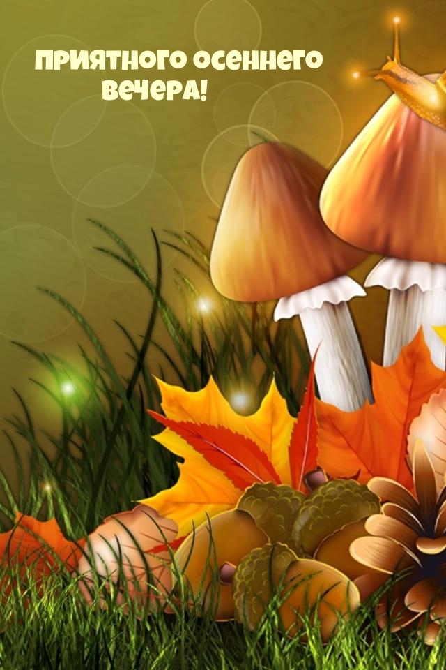 Приятного осеннего вечера!