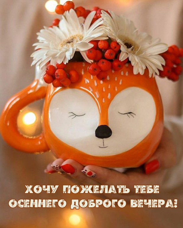 Хочу пожелать тебе осеннего доброго вечера! 