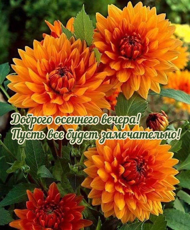 Доброго осеннего вечера! Пусть все будет замечательно!