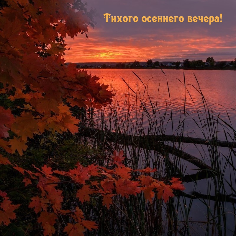 Тихого осеннего вечера!