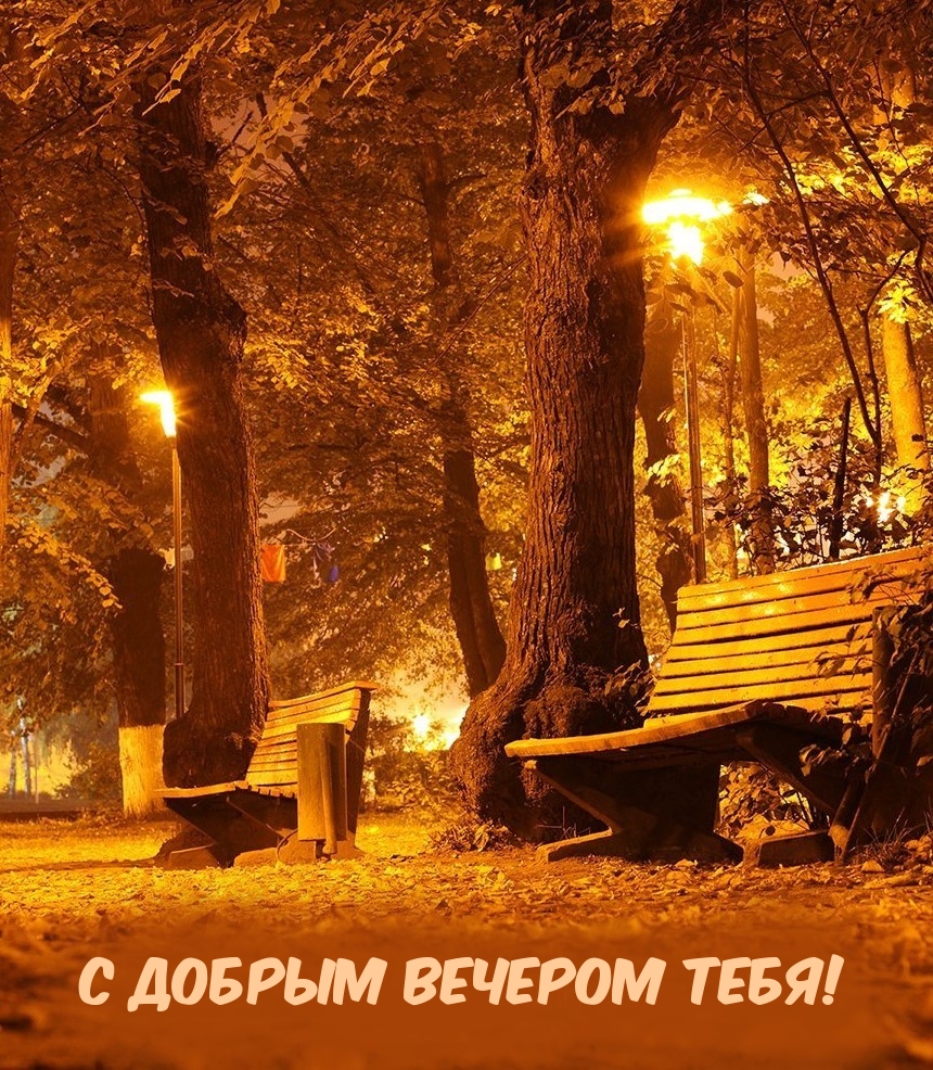 С Добрым вечером тебя!