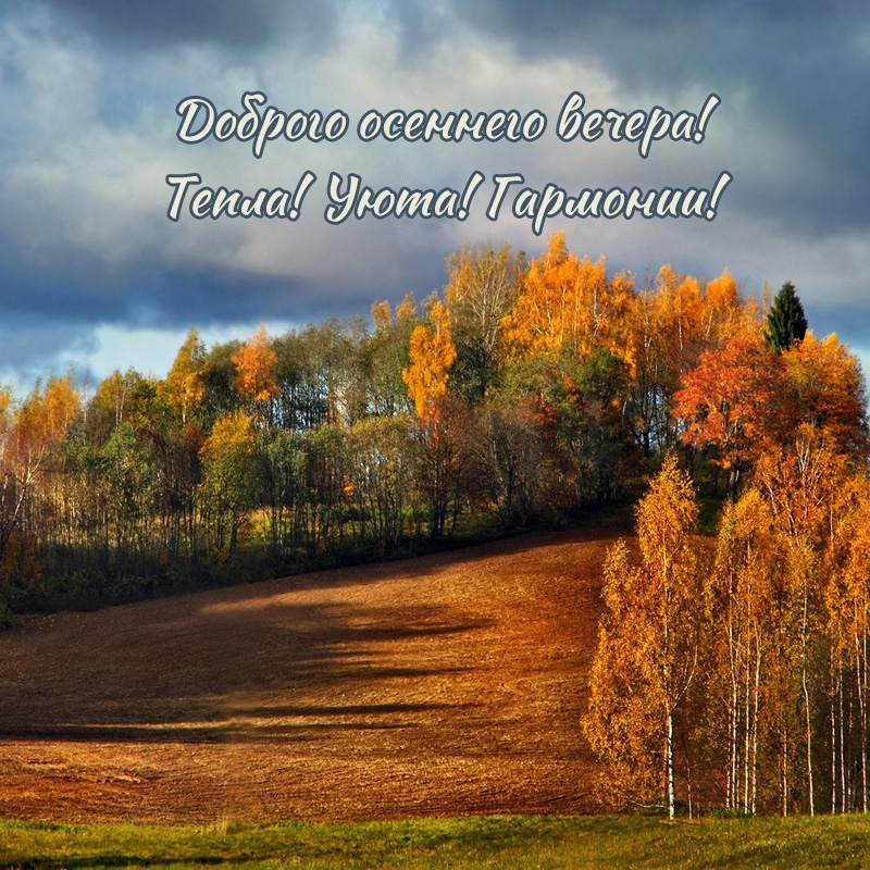 Доброго осеннего вечера! Тепла! Уюта! Гармонии!