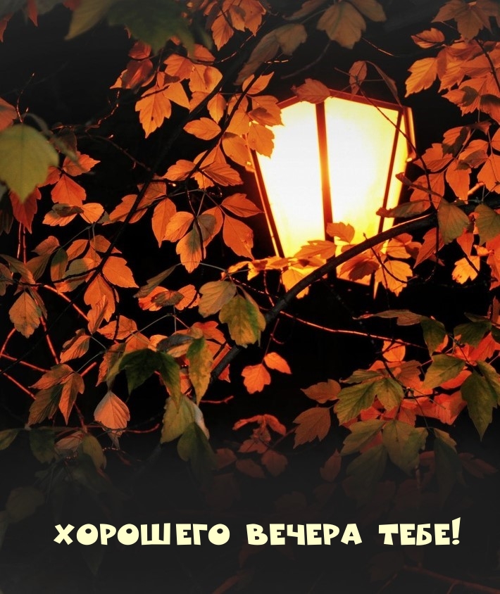 Хорошего вечера тебе!