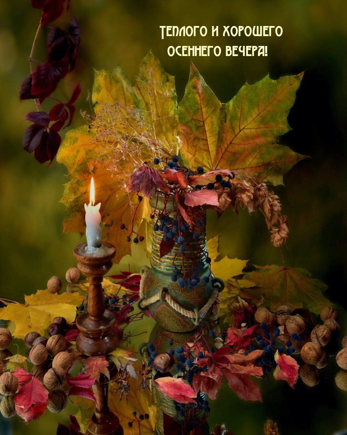 Теплого и хорошего осеннего вечера!