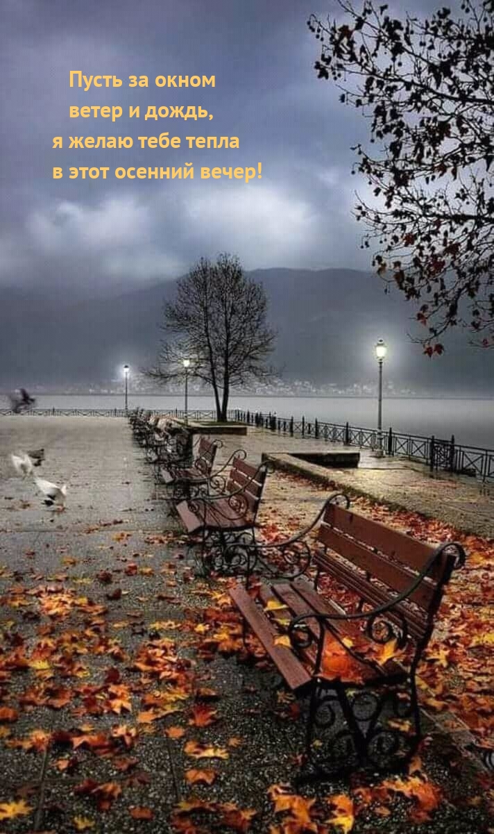 Желаю тебе тепла в этот осенний вечер!