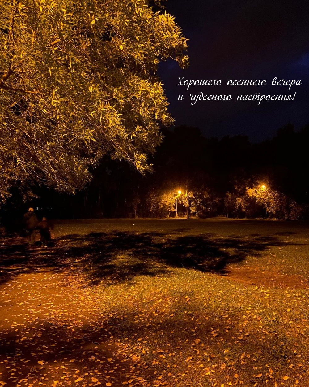 Хорошего осеннего вечера и чудесного настроения!