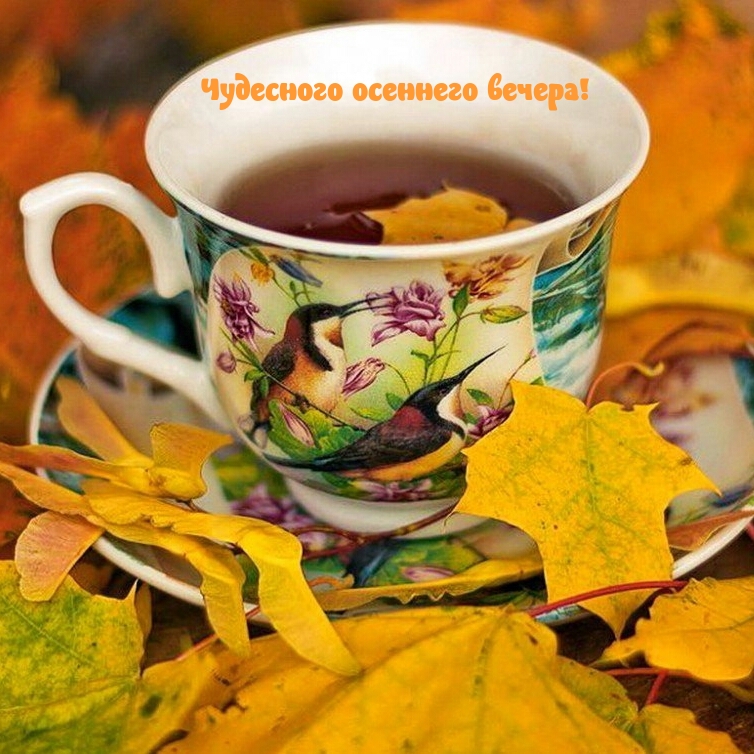 Чудесного осеннего вечера!