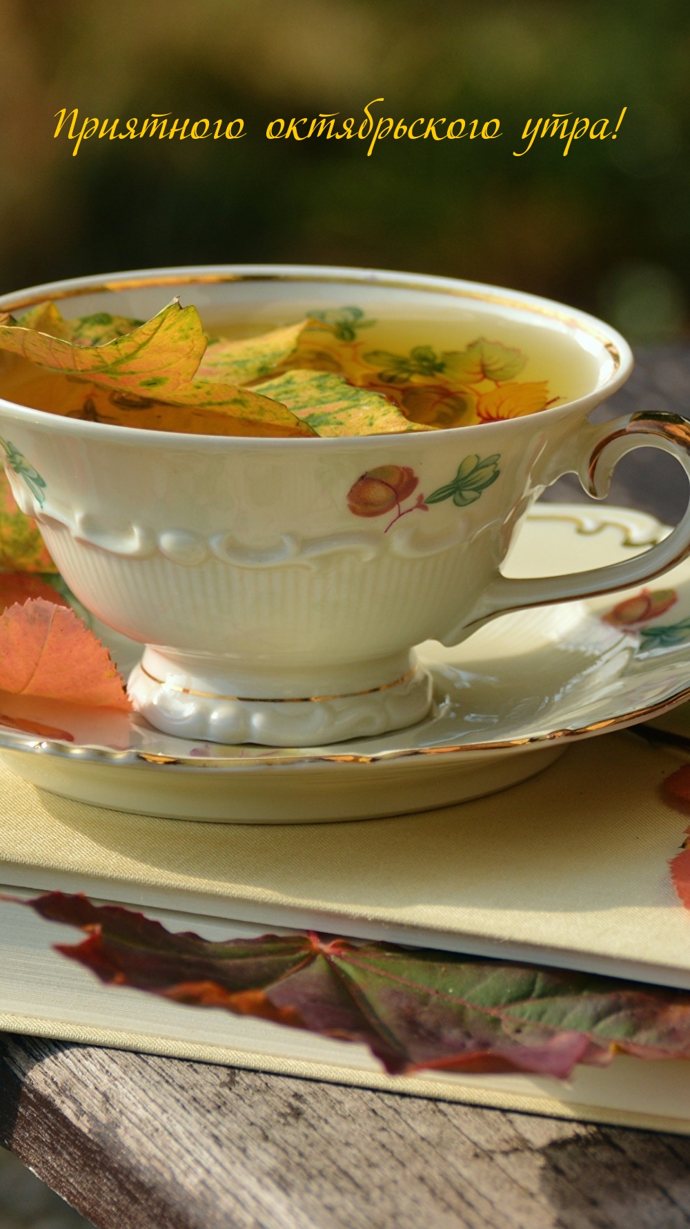 Приятного октябрьского утра!