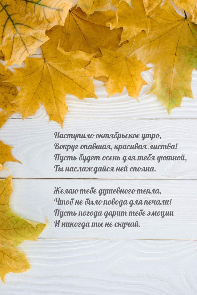 Наступило октябрьское утро, вокруг опавшая, красивая листва!