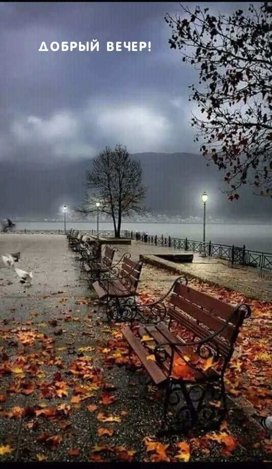 Добрый вечер!