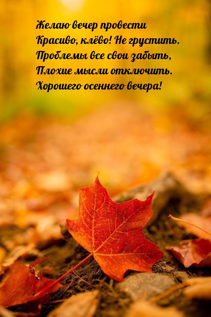 Желаю вечер провести красиво, клёво! Не грустить.