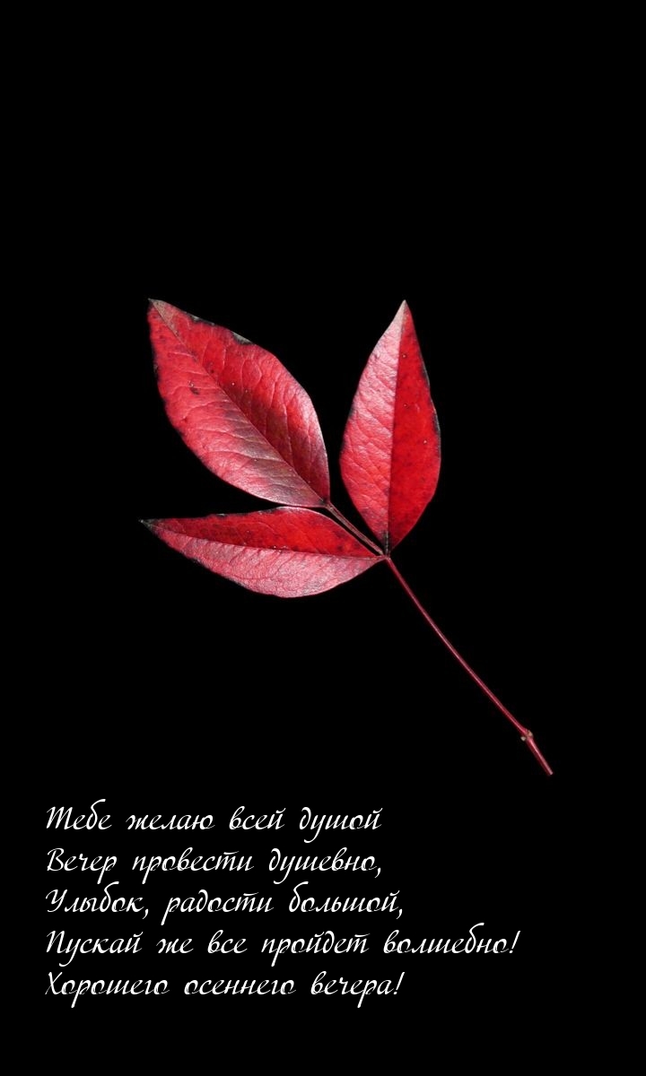Тебе желаю всей душой вечер провести душевно