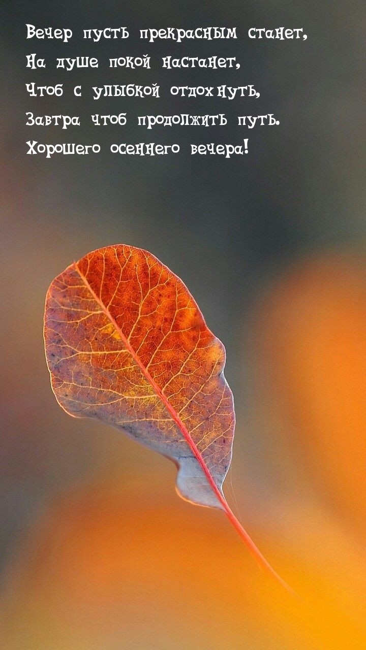 Вечер пусть прекрасным станет, на душе покой настанет