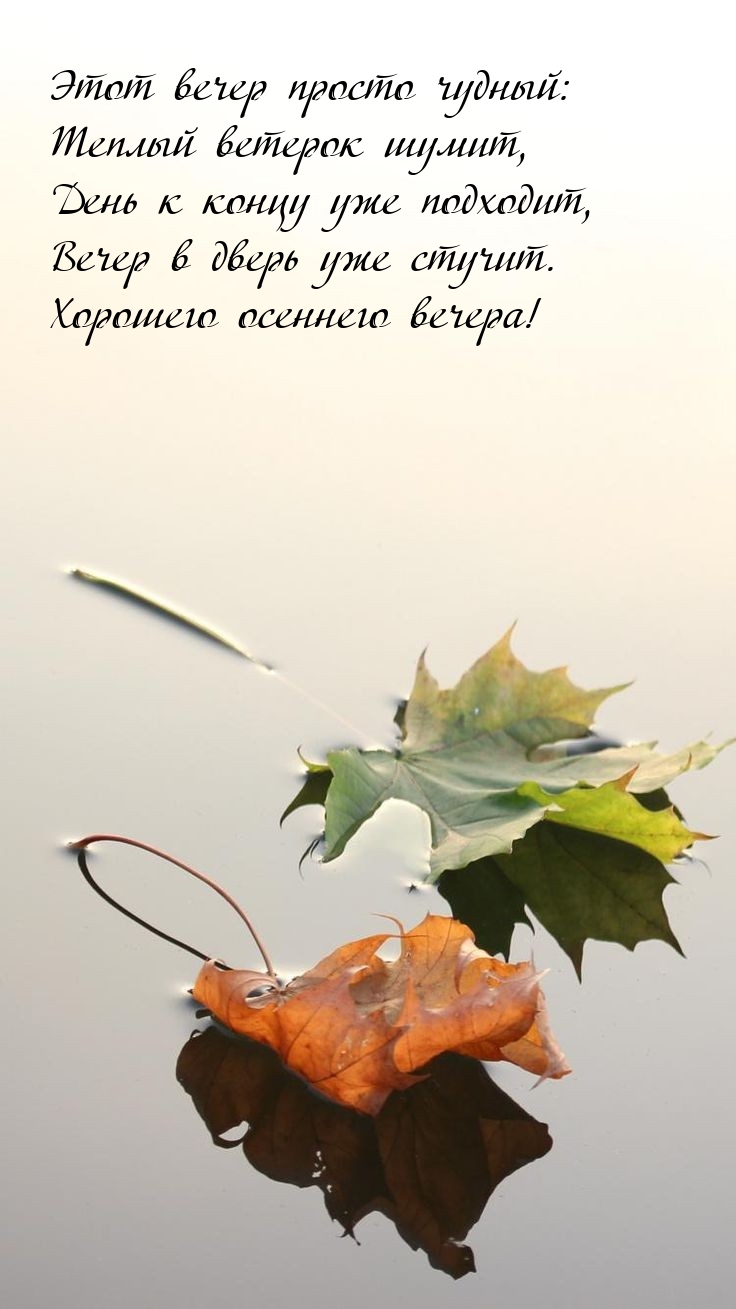 День к концу уже подходит, вечер в дверь уже стучит.