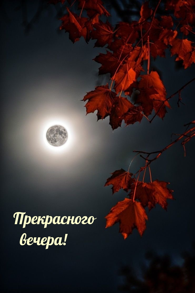 Прекрасного вечера!