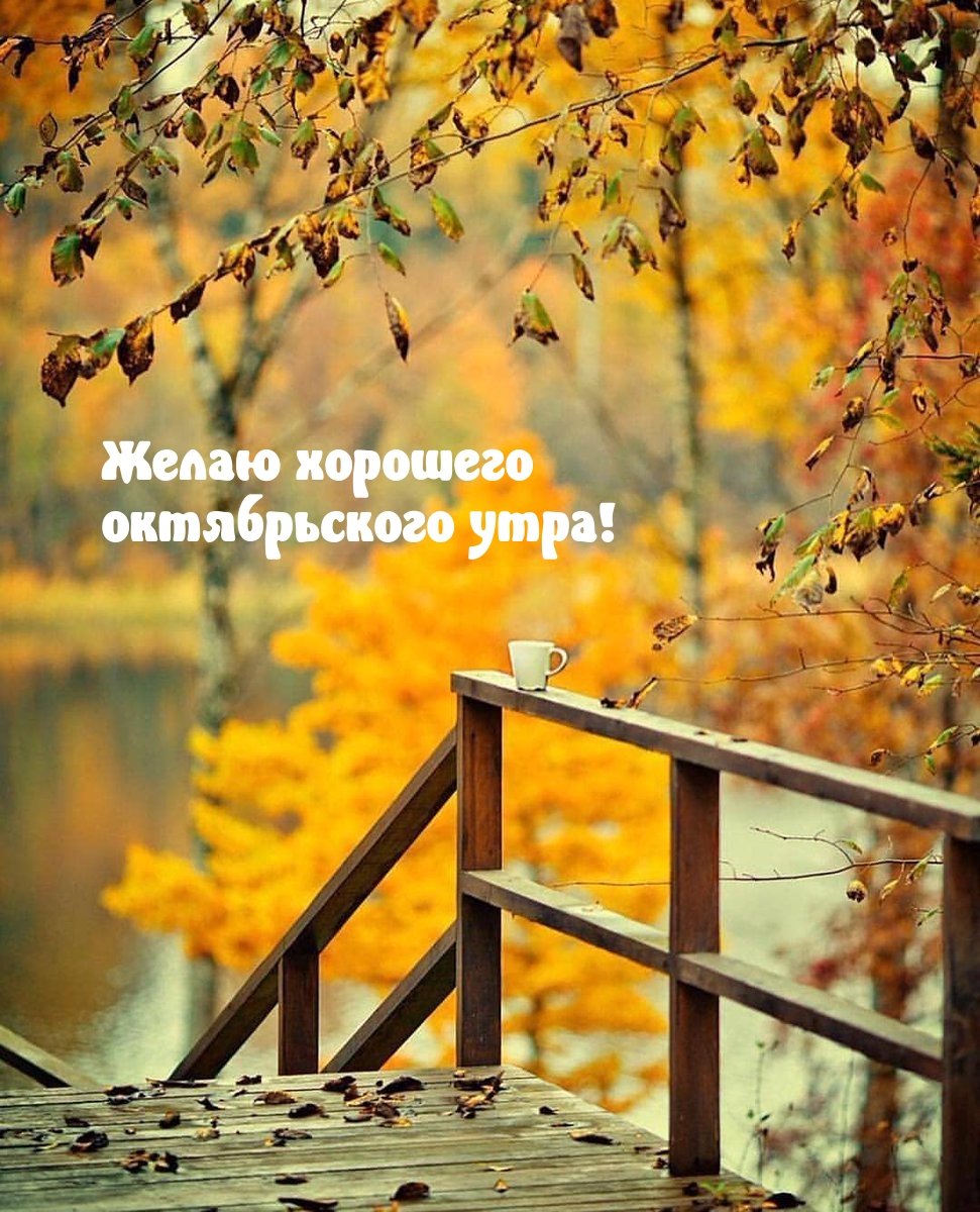 Желаю хорошего октябрьского утра!