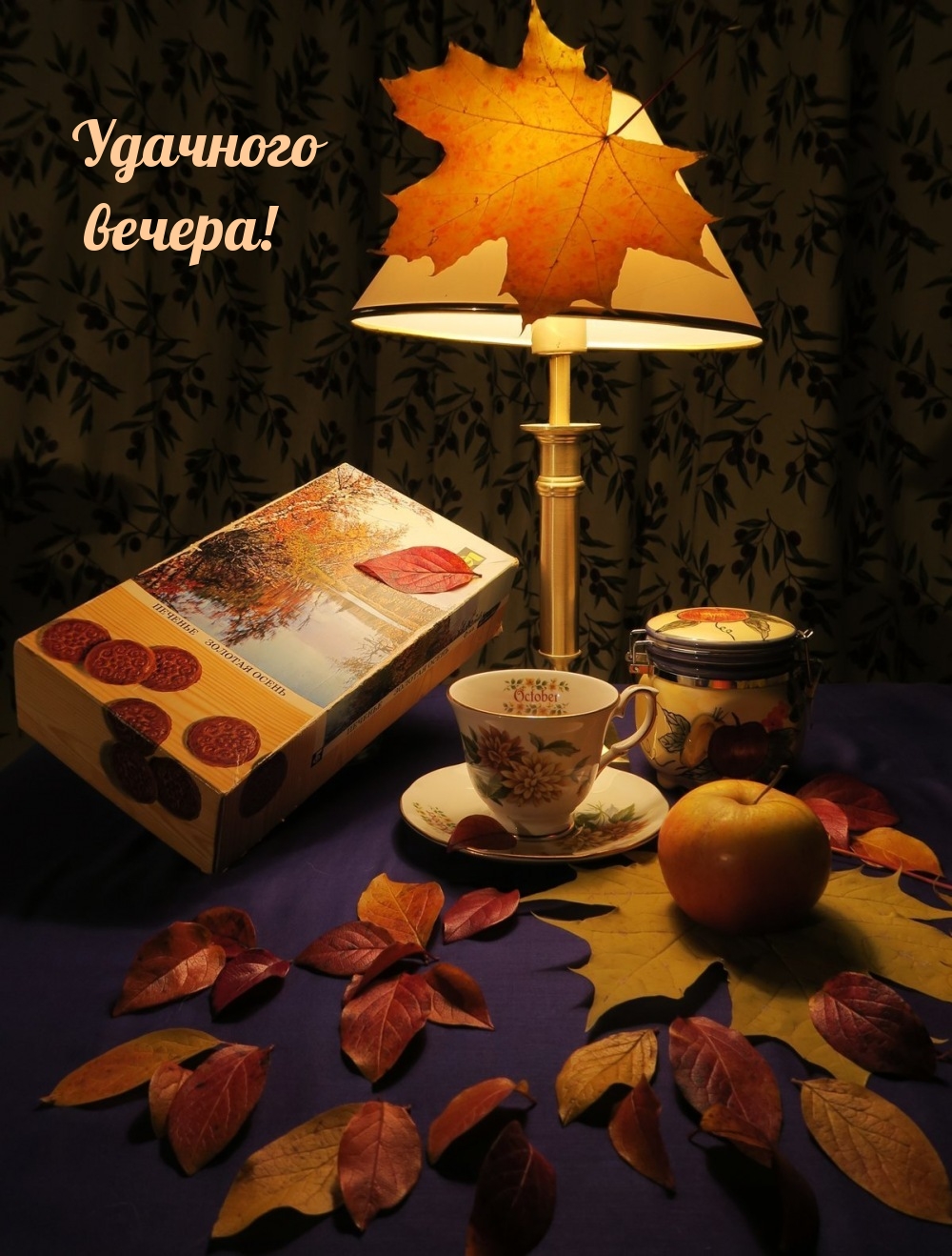 Удачного вечера!