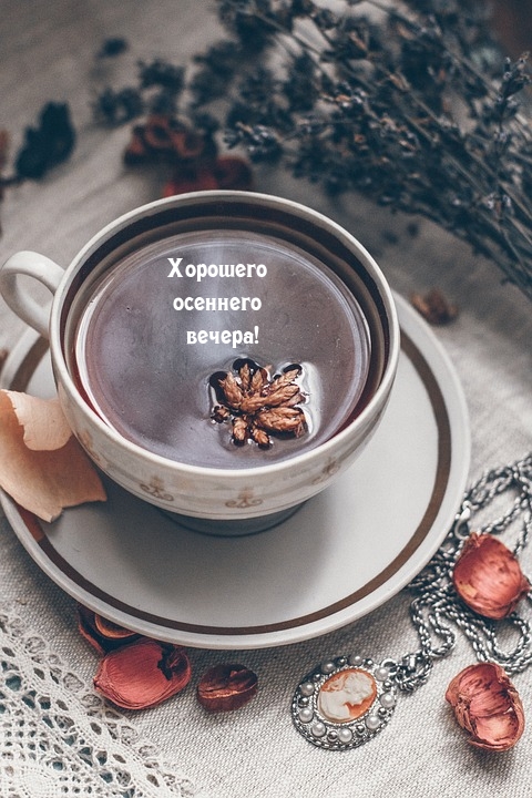 Хорошего осеннего вечера!