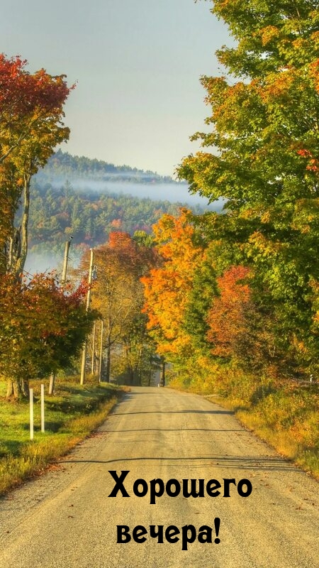 Хорошего вечера!