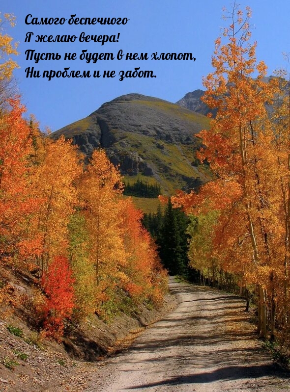 Самого беспечного я желаю вечера!