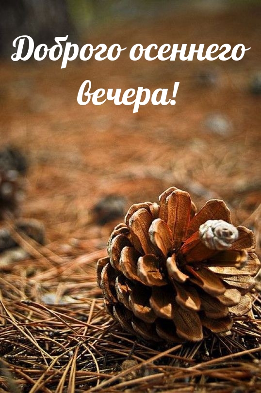 Доброго осеннего вечера!