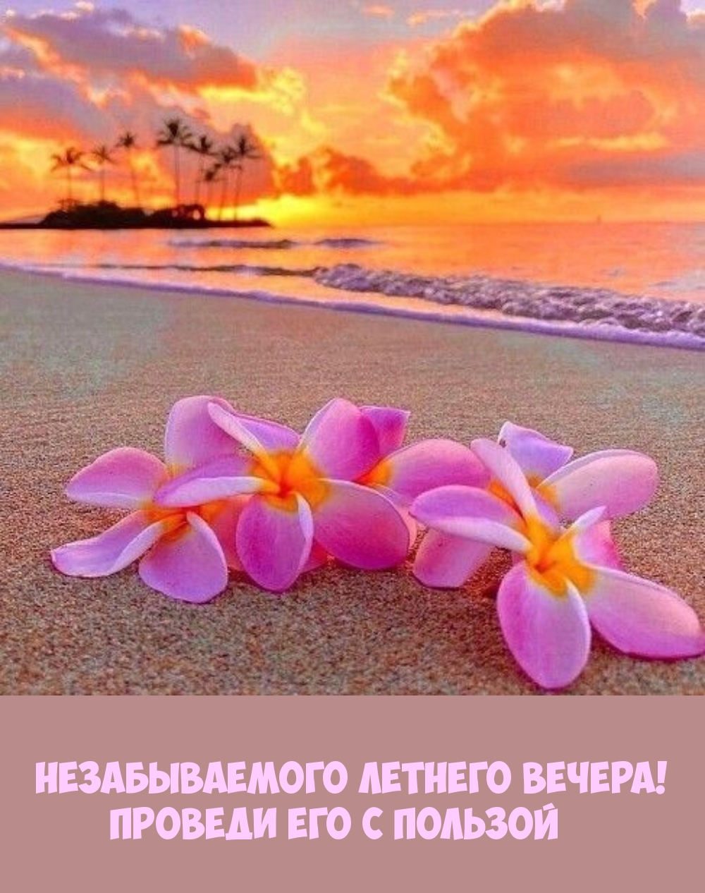 Незабываемого летнего вечера! Проведи его с пользой