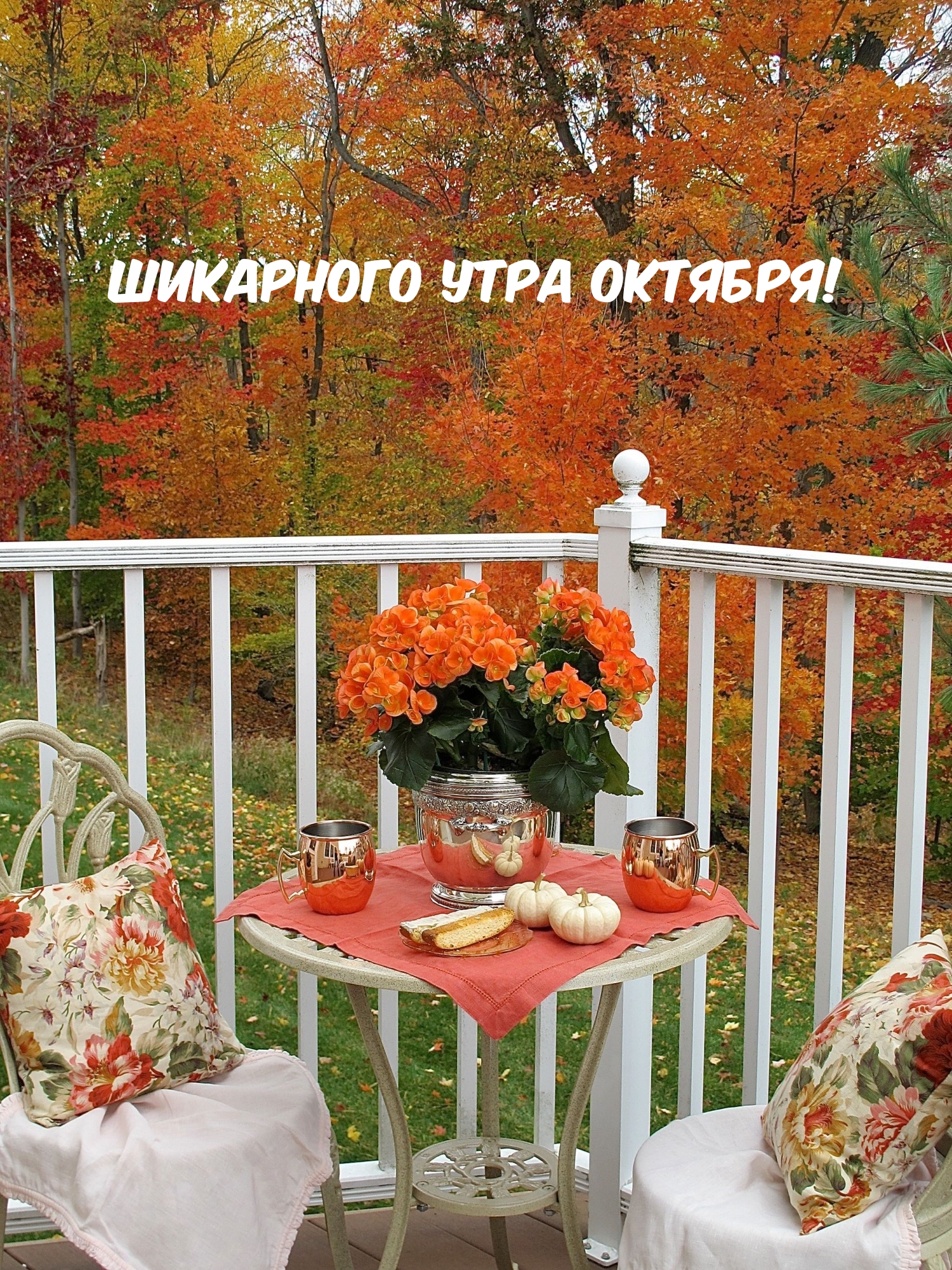 Шикарного утра октября!