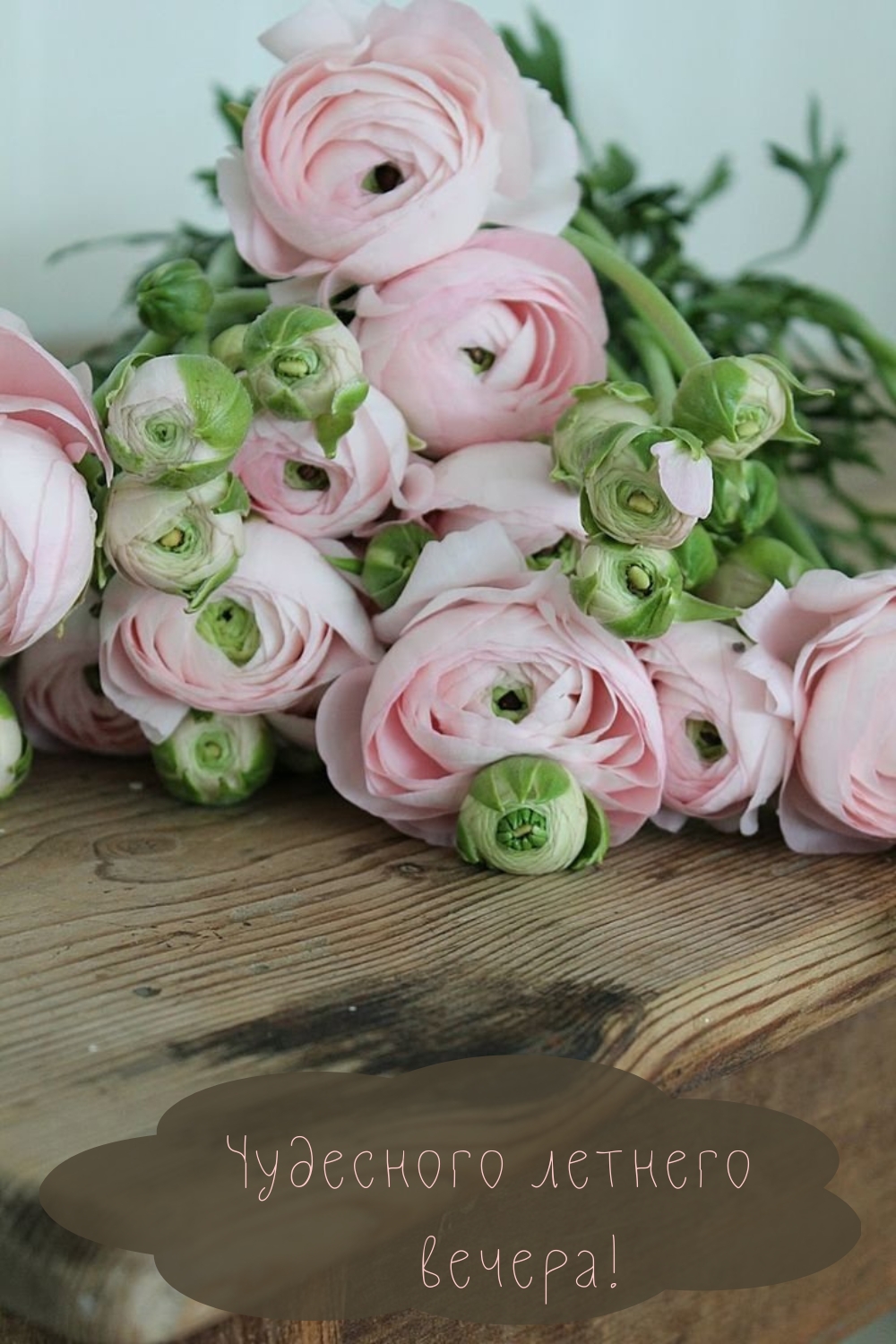 Чудесного летнего вечера!
