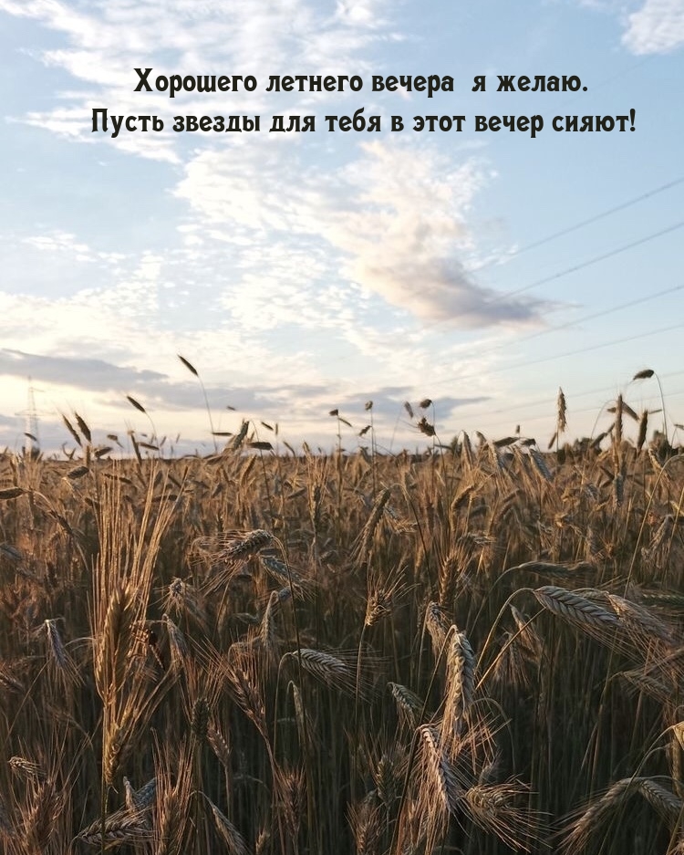 Хорошего летнего вечера я желаю. Пусть звезды в этот вечер сияют!