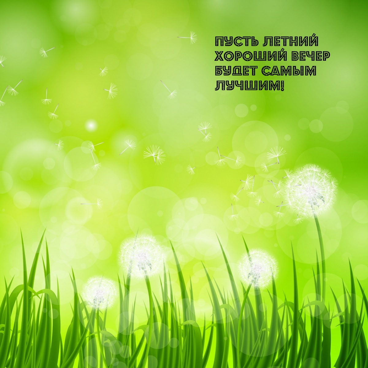 Пусть летний хороший вечер будет самым лучшим!