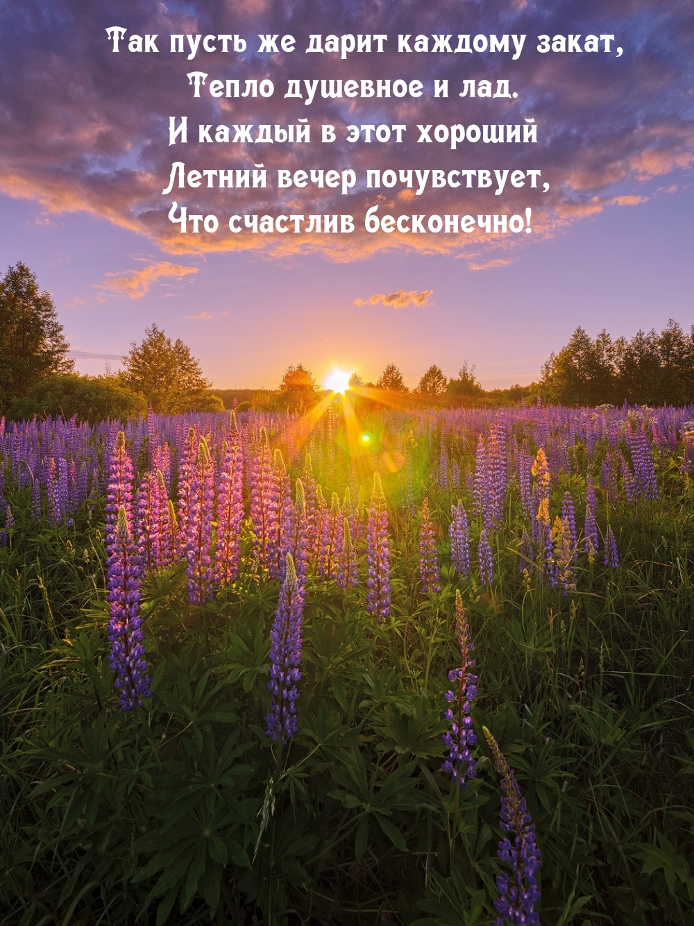 Так пусть же дарит каждому закат, тепло душевное и лад.