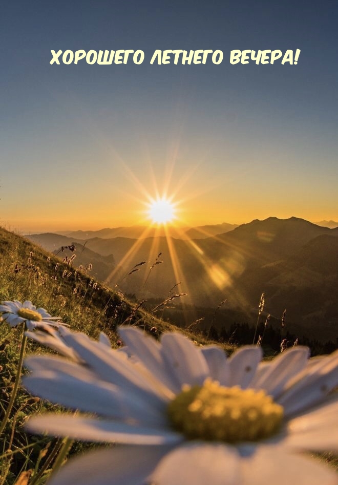 Хорошего летнего вечера!