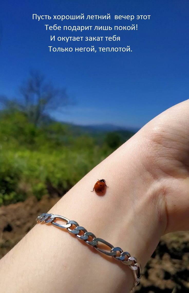 Пусть хороший летний вечер этот Тебе подарит лишь покой!
