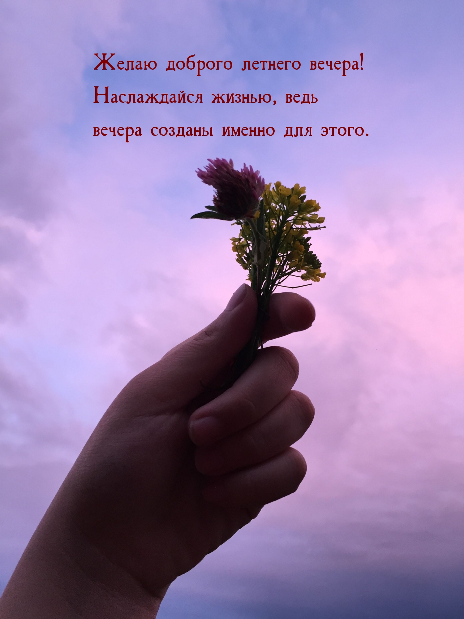 Желаю доброго летнего вечера! Наслаждайся жизнью