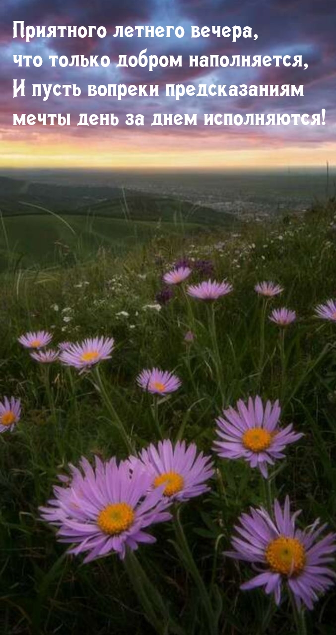 Приятного летнего вечера, что только добром наполняется