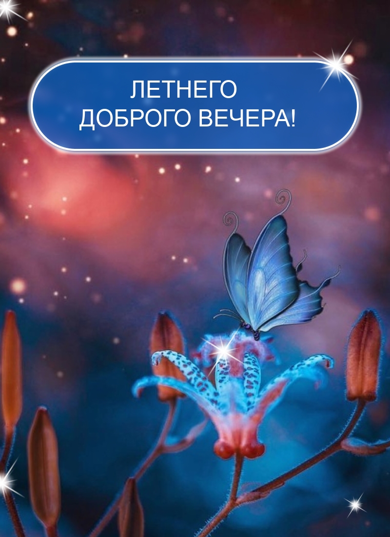 Летнего доброго вечера!