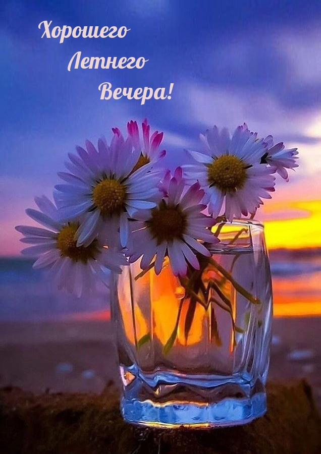 Хорошего Летнего Вечера!