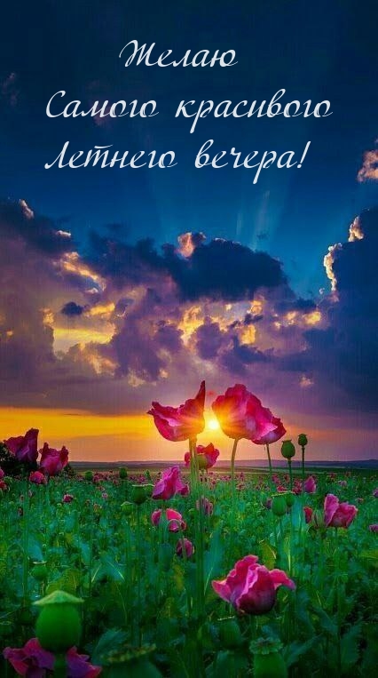 Желаю самого красивого летнего вечера!