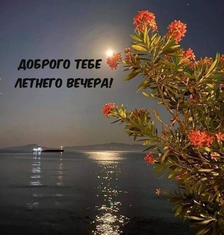 Доброго тебе Летнего вечера!
