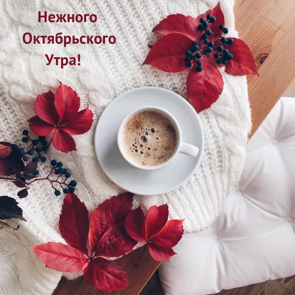 Нежного Октябрьского Утра!