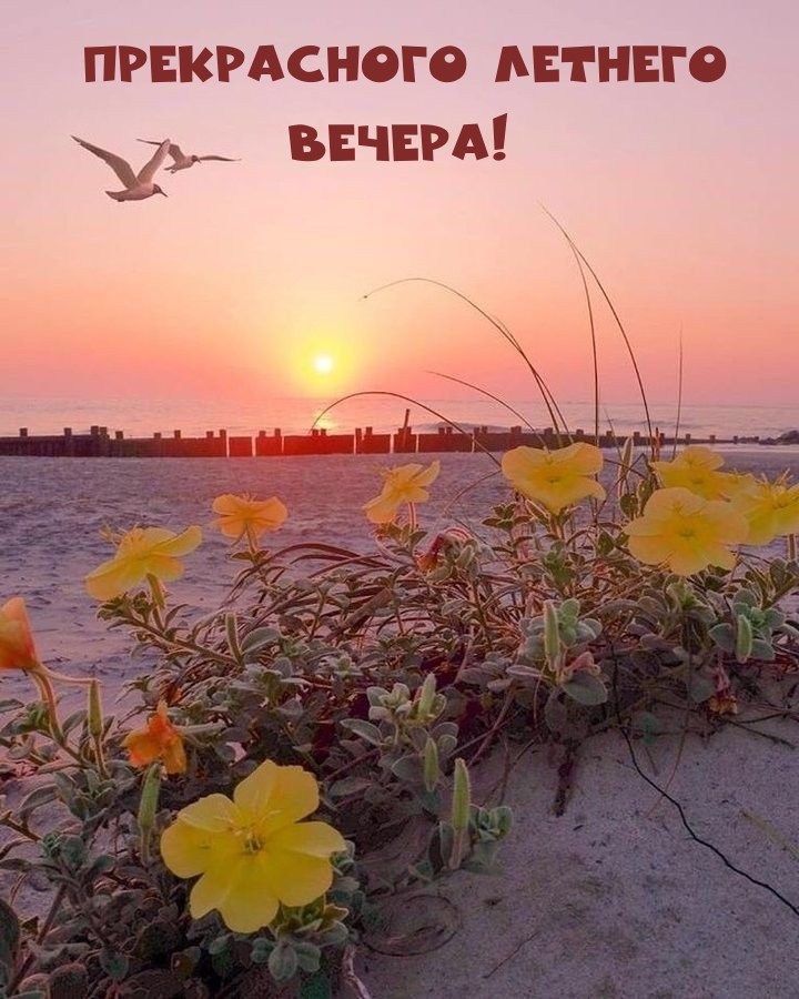 Прекрасного летнего вечера!