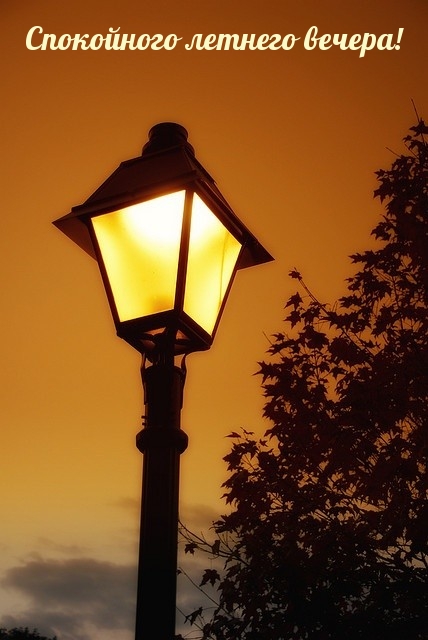 Спокойного летнего вечера!