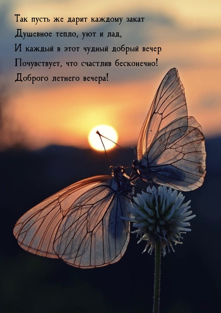 Доброго летнего вечера! Пусть же дарит закат душевное тепло