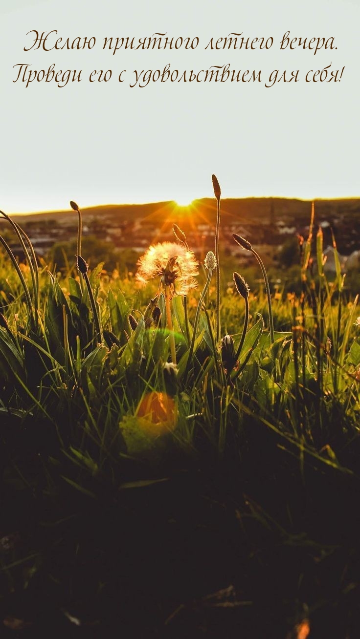 Желаю приятного летнего вечера. Проведи его с удовольствием 