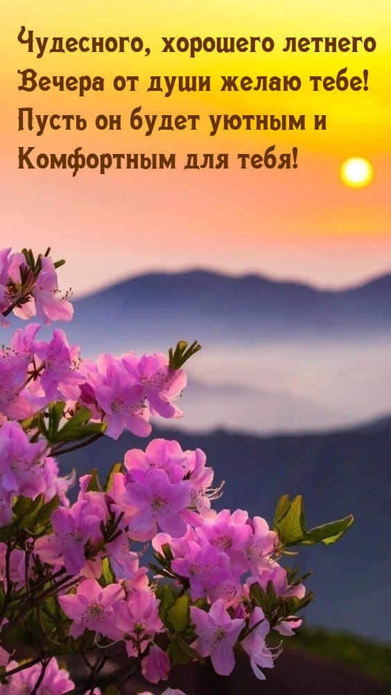 Чудесного, хорошего летнего вечера от души желаю тебе! 