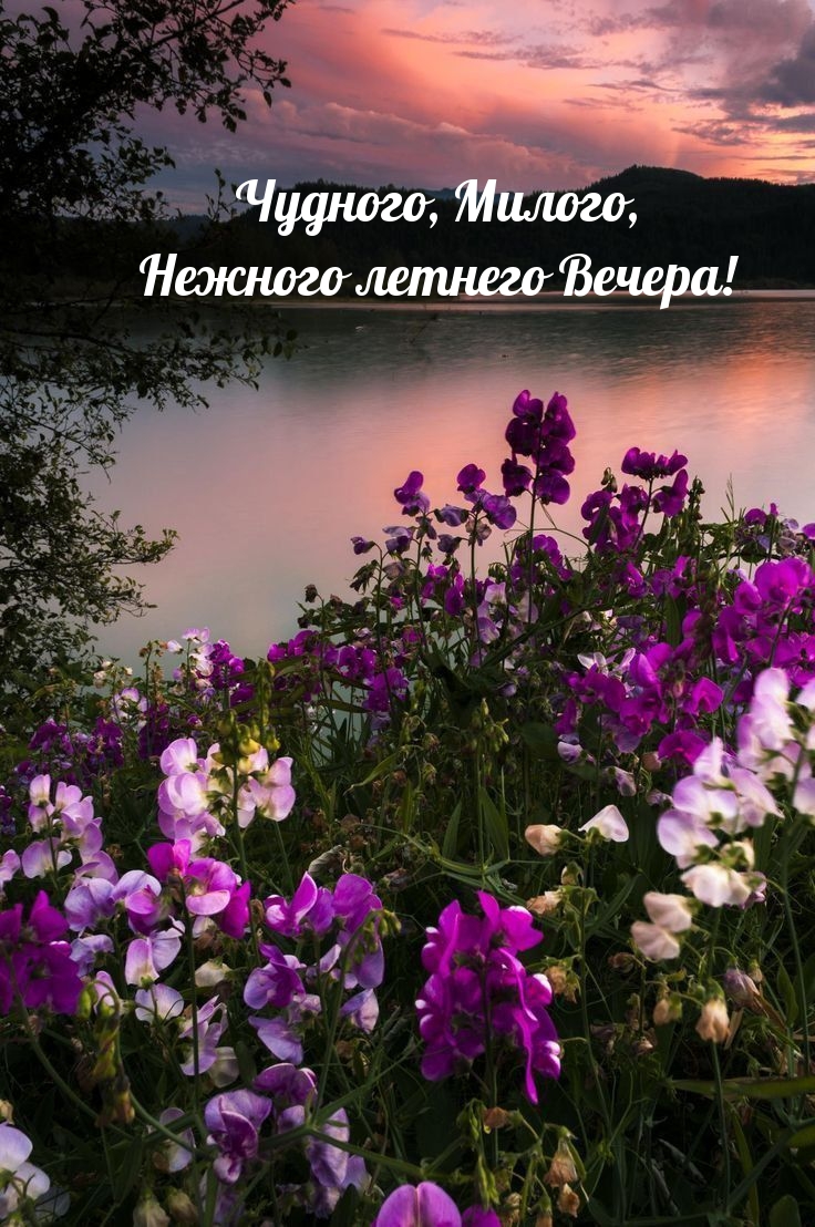 Чудного, Милого, Нежного летнего Вечера!