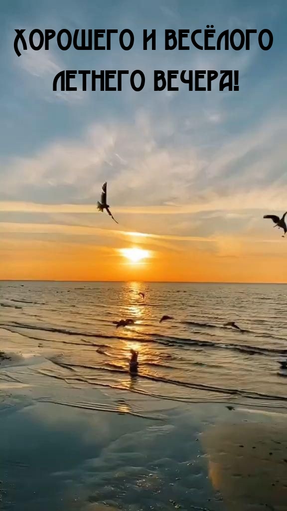 Хорошего и весёлого летнего вечера! 