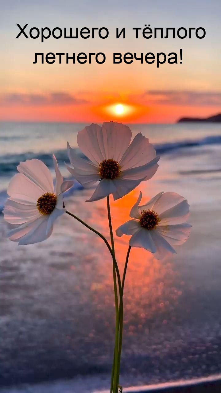 Хорошего и тёплого летнего вечера! 