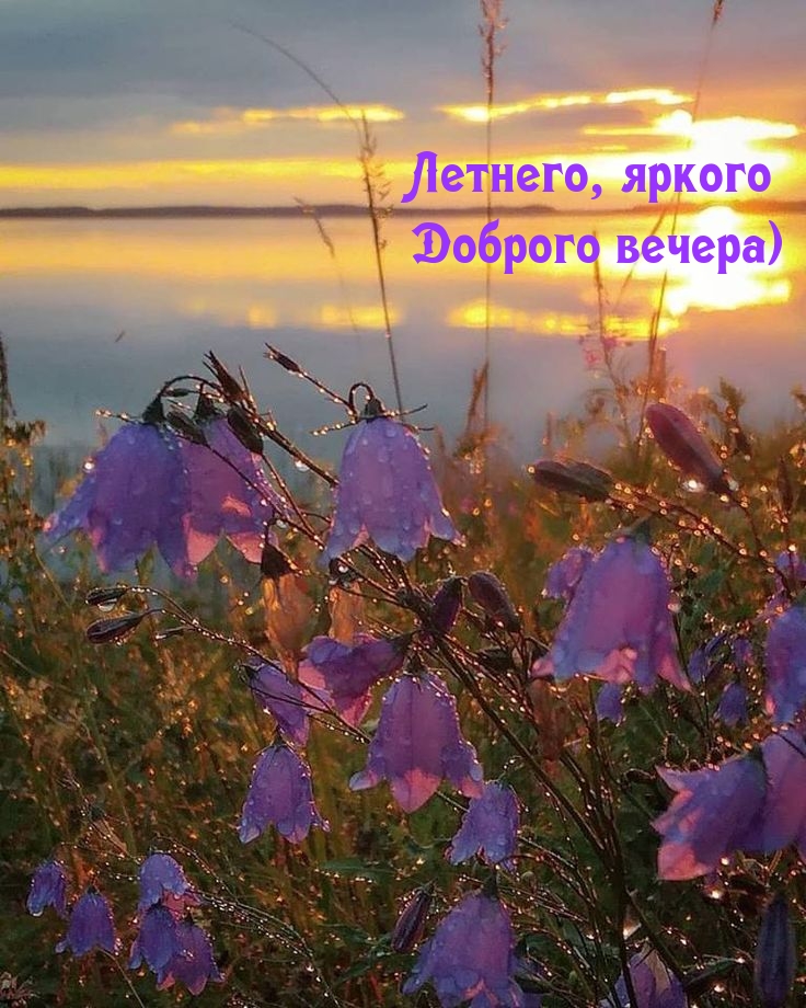 Летнего, яркого доброго вечера)